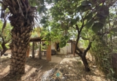 Detached villa with land for sale on Camí Vell de Benifaió, Benifaió, ref: TR419554 photo