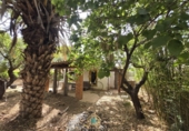Detached villa with land for sale on Camí Vell de Benifaió, Benifaió, ref: TR419554 photo