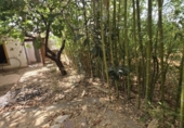 Detached villa with land for sale on Camí Vell de Benifaió, Benifaió, ref: TR419554 photo