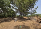 Detached villa with land for sale on Camí Vell de Benifaió, Benifaió, ref: TR419554 photo