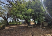 Detached villa with land for sale on Camí Vell de Benifaió, Benifaió, ref: TR419554 photo