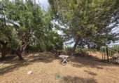 Detached villa with land for sale on Camí Vell de Benifaió, Benifaió, ref: TR419554 photo