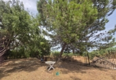 Detached villa with land for sale on Camí Vell de Benifaió, Benifaió, ref: TR419554 photo