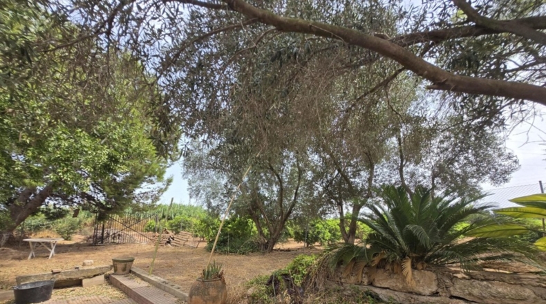 València - Benifaió - 60m2