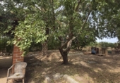 Detached villa with land for sale on Camí Vell de Benifaió, Benifaió, ref: TR419554 photo