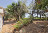 Detached villa with land for sale on Camí Vell de Benifaió, Benifaió, ref: TR419554 photo
