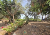 Detached villa with land for sale on Camí Vell de Benifaió, Benifaió, ref: TR419554 photo