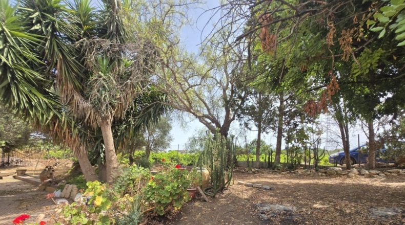 València - Benifaió - 60m2