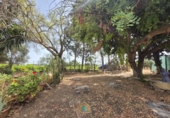 Detached villa with land for sale on Camí Vell de Benifaió, Benifaió, ref: TR419554 photo