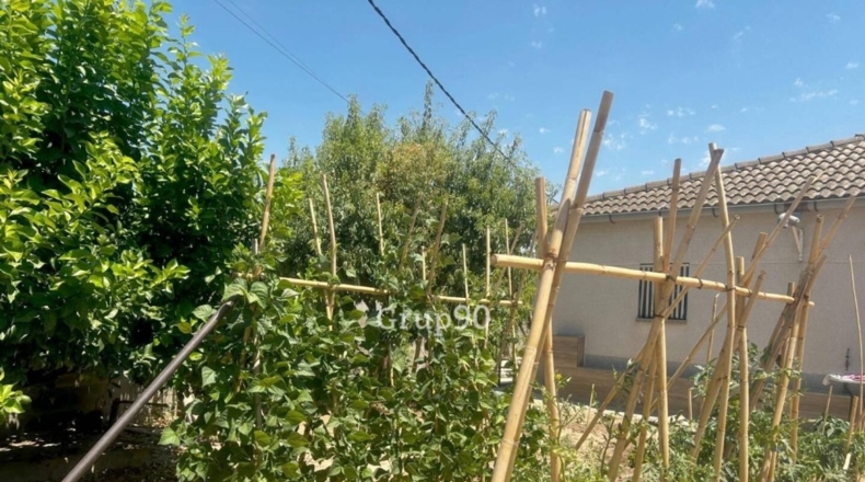 Lerida - Alcoletge - 132m2