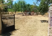 Casa de campo con terreno en venta en la , Miraflores de la Sierra, ref: TR419569 foto