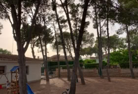 Pilar de la Horadada 800&nbsp;m²