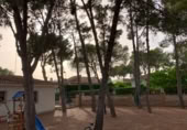 Terreny amb garatge en venda a la cipres 24, el Pilar de la Foradada, ref.: TR419570 foto