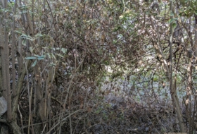 Foto 17