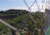 Terreny no urbanitzable en venda a Motril ref.: TR419580 foto