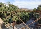 Terreny no urbanitzable en venda a Motril ref.: TR419580 foto