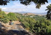 Terreny no urbanitzable en venda a Motril ref.: TR419580 foto