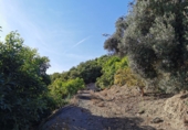 Terreny no urbanitzable en venda a Motril ref.: TR419580 foto