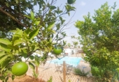 Detached villa with land for sale in Alcalá de Guadaíra ref: TR419587 photo