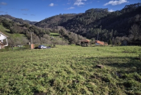 Lazana 2084&nbsp;m²