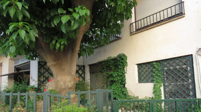 Tarragona - Alcover - 250m2