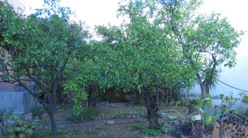 Tarragona - Alcover - 250m2