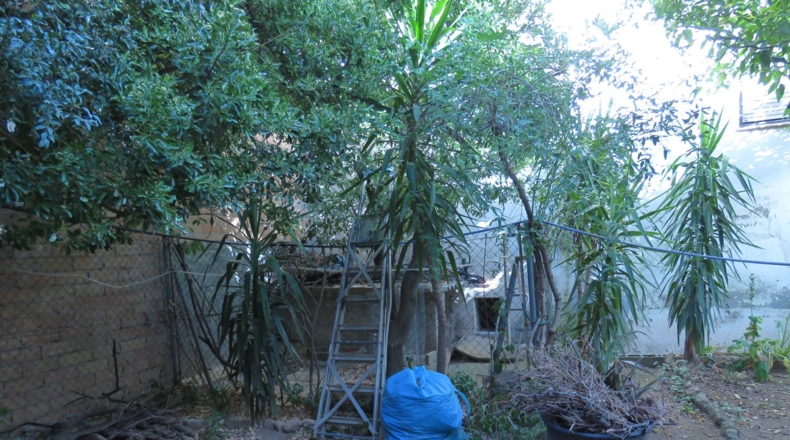 Tarragona - Alcover - 250m2