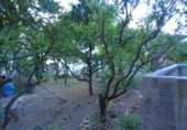 Casa de pueblo en venta en Alcover ref: TR419597 foto