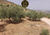 Non-developable land for sale in Jaén ref: TR419598 photo