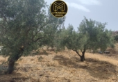Non-developable land for sale in Jaén ref: TR419598 photo