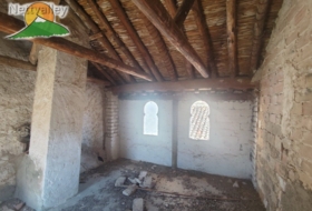 Foto 17
