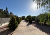 Casa de campo con terreno en venta en Crevillente ref: TR419608 foto