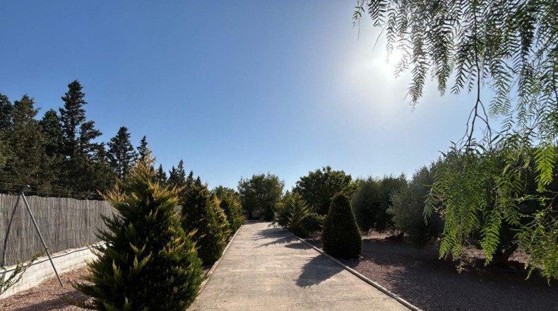 Alicante - Crevillent - 2700m2