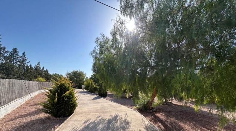 Alicante - Crevillent - 2700m2