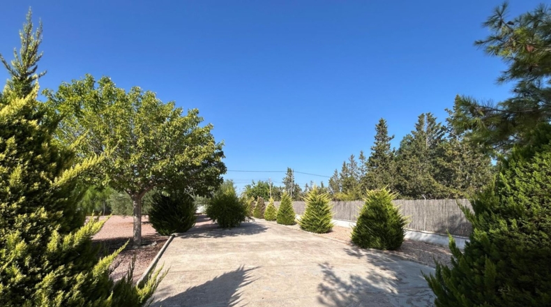 Alicante - Crevillent - 2700m2