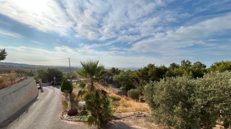 Alicante - Crevillent - 3200m2