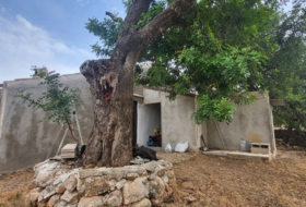 Roquetes 22677&nbsp;m²