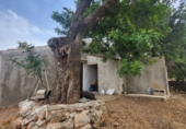 Finca rústica en venta en Roquetes ref: TR419615 foto