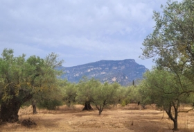 Roquetes 22677&nbsp;m²