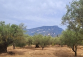 Finca rústica en venta en Roquetes ref: TR419615 foto