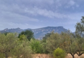 Finca rústica en venta en Roquetes ref: TR419615 foto
