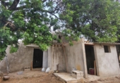 Finca rústica en venta en Roquetes ref: TR419615 foto