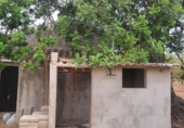 Finca rústica en venta en Roquetes ref: TR419615 foto