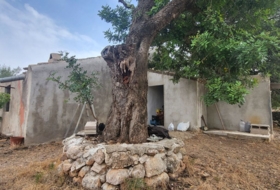 Roquetes 22677&nbsp;m²
