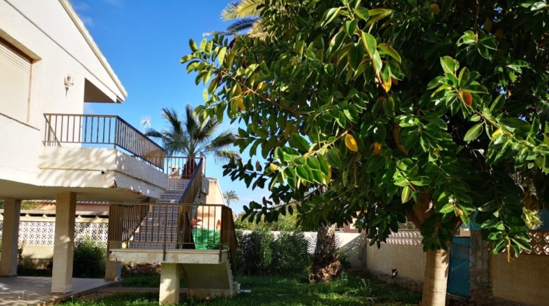 Alicante - Orihuela - 650m2