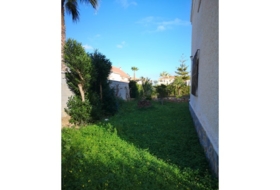 Orihuela 650&nbsp;m²