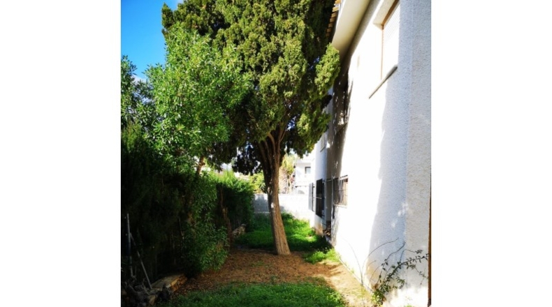 Alicante - Orihuela - 650m2