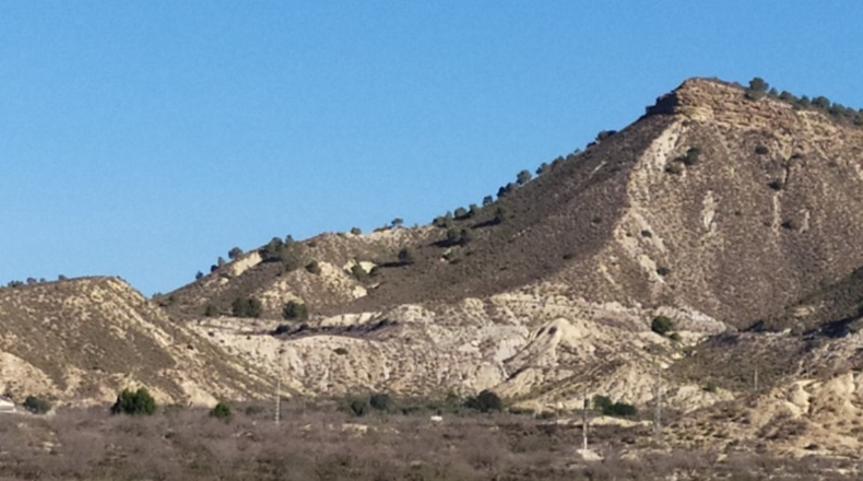 Alicante - San Miguel de Salinas - 50m2