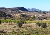 Nau industrial en venda a Sant Miquel de les Salines ref.: TR419631 foto