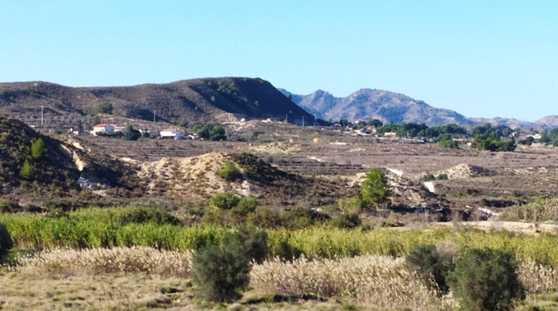 Alicante - San Miguel de Salinas - 50m2